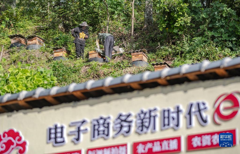 博悦网络测速
